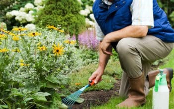 Hvordan lage en lettstelt hage – tips for nybegynnere