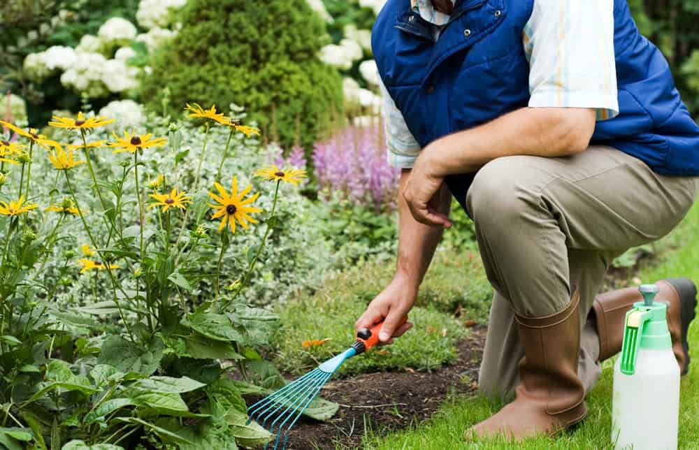 Hvordan lage en lettstelt hage – enkle tips for nybegynnere som vil lykkes raskt
